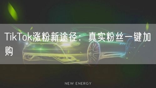TikTok涨粉秘籍：真实粉丝一键加购，速增策略