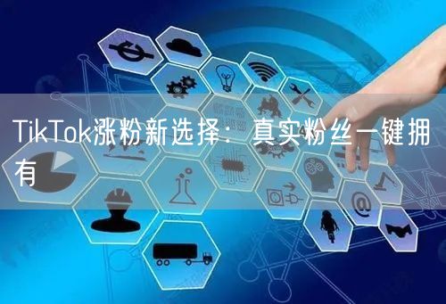 TikTok涨粉神器：智能匹配，一键获真实粉丝！