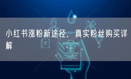 小红书涨粉新途径，真实粉丝购买详解