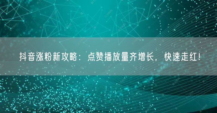 抖音涨粉秘籍：点赞播放量双增，轻松走红网络！