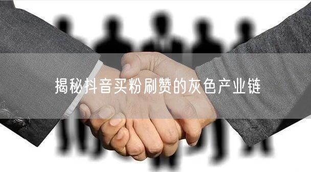抖音买粉刷赞产业链揭秘：虚假流量与治理挑战