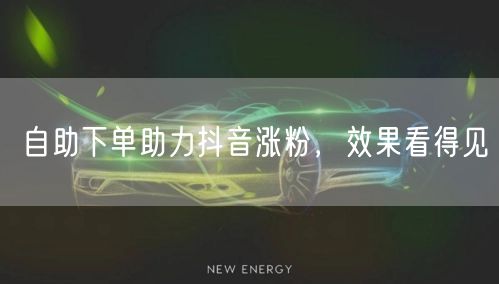 自助下单快速涨粉，抖音运营效果显著提升