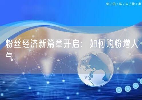 粉丝经济新策略：购粉增粉与互动提升人气