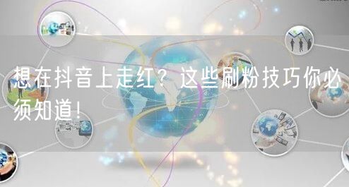 抖音走红秘籍：刷粉技巧+账号优化，轻松涨粉！