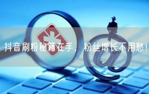 抖音刷粉秘籍大公开，轻松实现粉丝增长与流量提升！