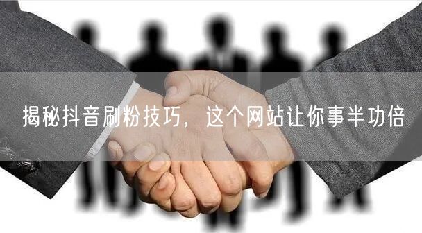 揭秘抖音刷粉技巧，这个网站让你事半功倍