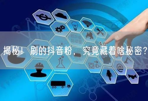 揭秘！刷的抖音粉，究竟藏着啥秘密？
