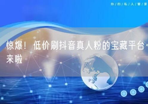 揭秘！低价刷抖音真人粉的高效涨粉平台