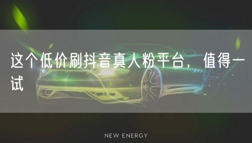 这个低价刷抖音真人粉平台，值得一试