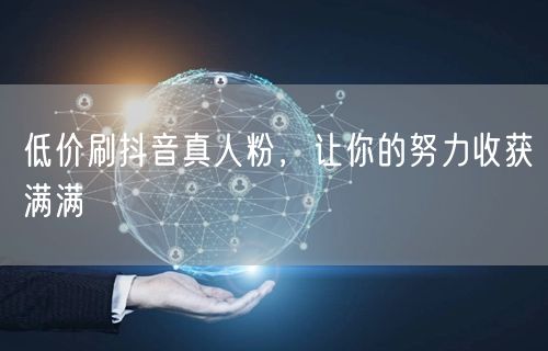 低价刷抖音真人粉，让你的努力收获满满