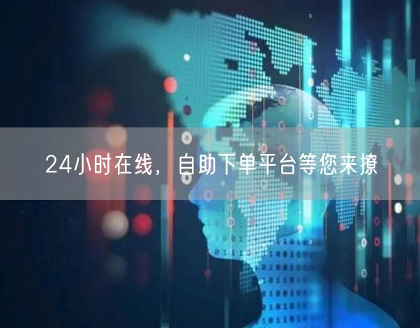 24小时在线自助下单，便捷高效全天候支持！