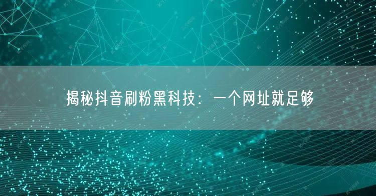 揭秘抖音刷粉黑科技：一个网址就足够