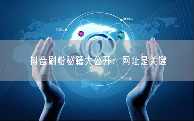 抖音刷粉秘籍揭秘：增粉网址助力粉丝飙升