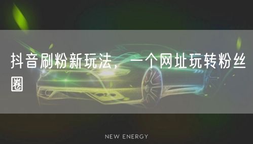 揭秘抖音刷粉新玩法：网址助力粉丝快速增长