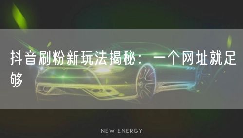 抖音刷粉新玩法揭秘：一个网址就足够