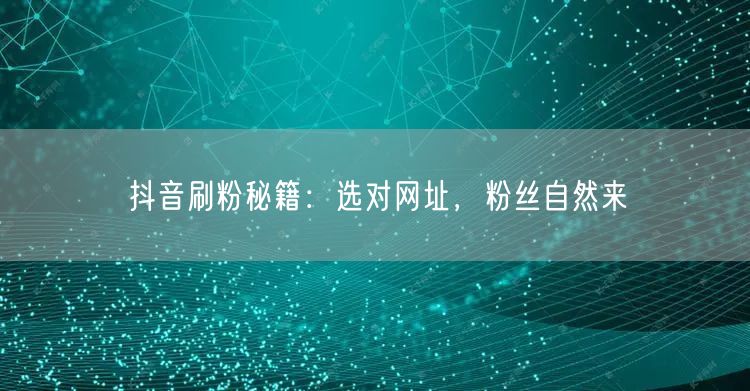 抖音刷粉秘籍：选对网址，粉丝自然来