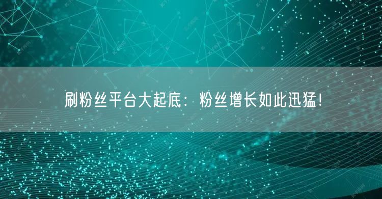 刷粉丝平台揭秘：迅猛增长背后的虚假与账号风险
