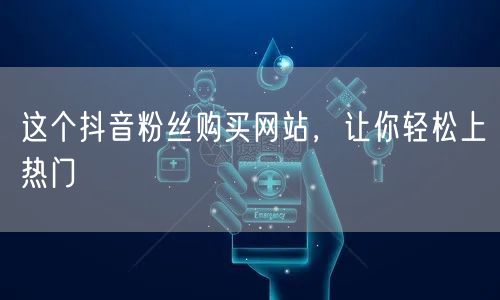 这个抖音粉丝购买网站，让你轻松上热门