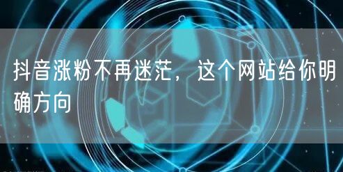 抖音涨粉难？这个网站助你明确方向，轻松涨粉！