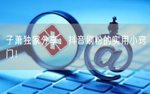 子萧独家分享：抖音刷粉的实用小窍门！