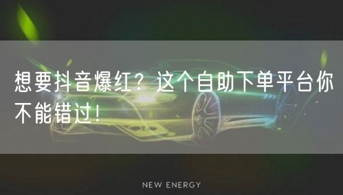 抖音爆红秘籍：自助下单平台助力流量增长与网红孵化