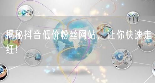揭秘抖音低价粉丝网站：快速走红背后的风险与真相