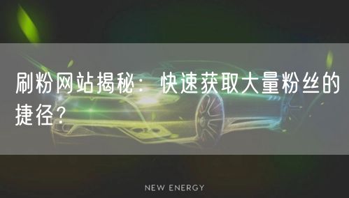刷粉网站揭秘：快速获取大量粉丝的捷径？