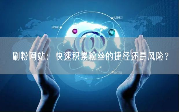 刷粉网站：快速积累粉丝的捷径还是风险？