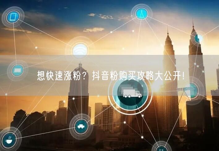 想快速涨粉？抖音粉购买攻略大公开！