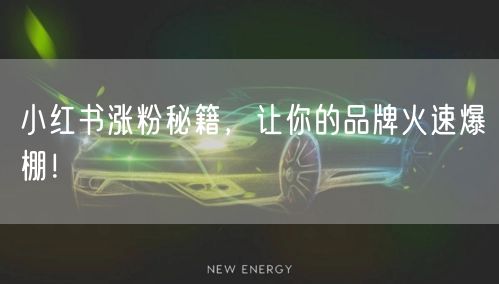 小红书涨粉秘籍，让你的品牌火速爆棚！