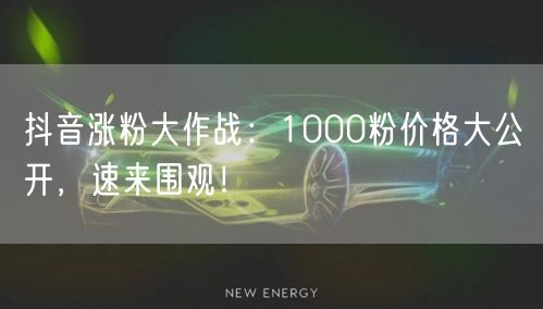 抖音涨粉大作战：1000粉价格大公开，速来围观！