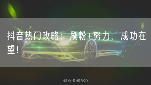 抖音热门攻略：刷粉+努力，成功在望！
