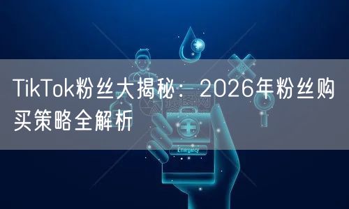 TikTok粉丝大揭秘：2026年粉丝购买策略全解析