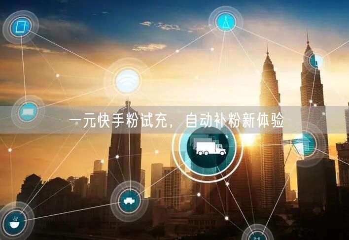 一元快手粉试充，自动补粉新体验