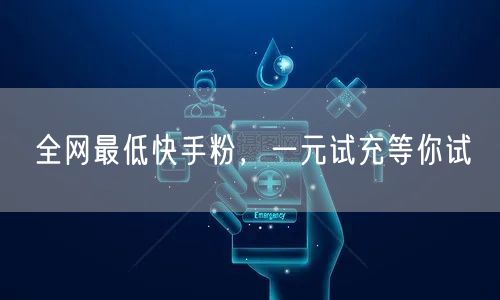 全网最低快手粉，一元试充等你试