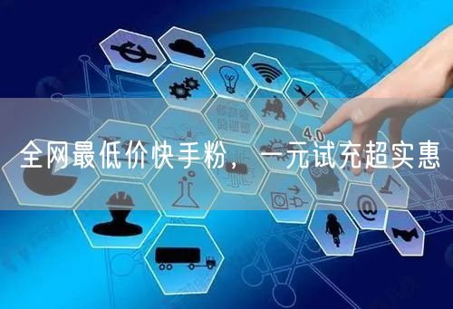 全网最低价快手粉，一元试充超实惠