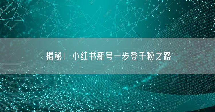 揭秘！小红书新号一步登千粉之路