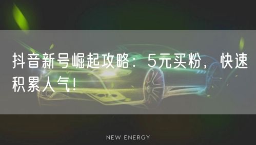 抖音新号崛起攻略：5元买粉，快速积累人气！