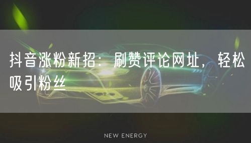 抖音涨粉新招：刷赞评论网址，轻松吸引粉丝