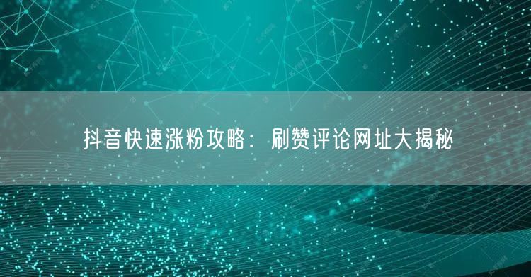 抖音快速涨粉攻略：刷赞评论网址大揭秘