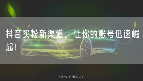 抖音买粉新渠道，让你的账号迅速崛起！