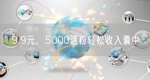 9.9元，5000活粉轻松收入囊中