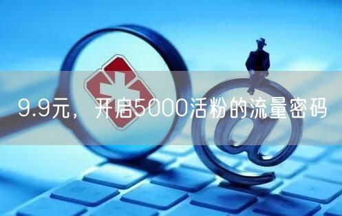 9.9元，开启5000活粉的流量密码