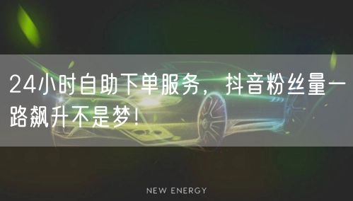 24小时自助下单服务，抖音粉丝量一路飙升不是梦！
