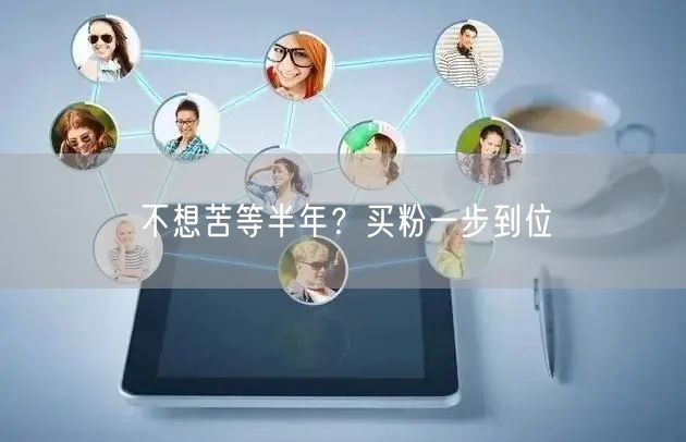 不想苦等半年？买粉一步到位
