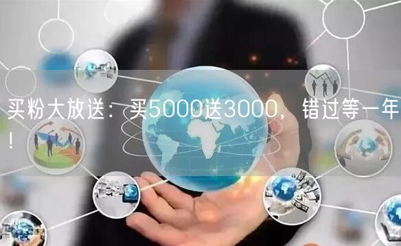 买粉大放送：买5000送3000，错过等一年！