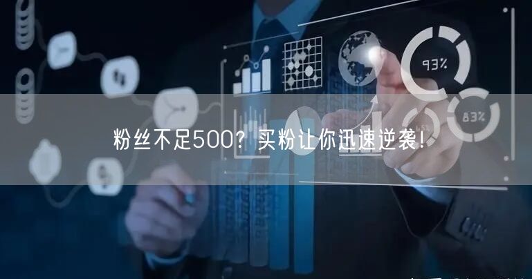 粉丝不足500？买粉让你迅速逆袭！