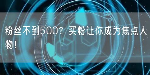 粉丝不到500？买粉让你成为焦点人物！