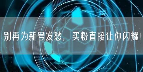别再为新号发愁，买粉直接让你闪耀！