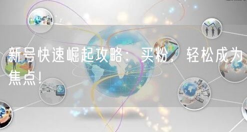 新号快速崛起攻略：买粉，轻松成为焦点！